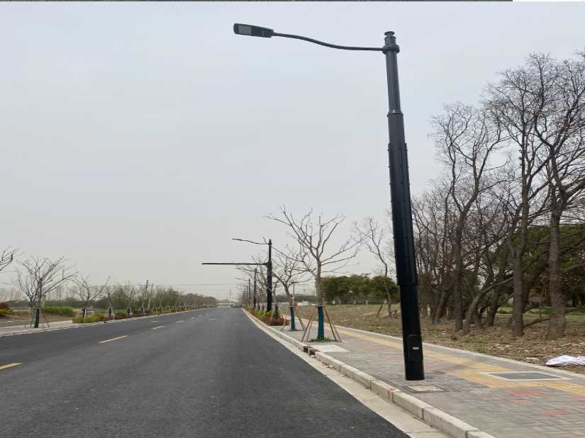 宁都县上海综合杆 太阳能路灯工程